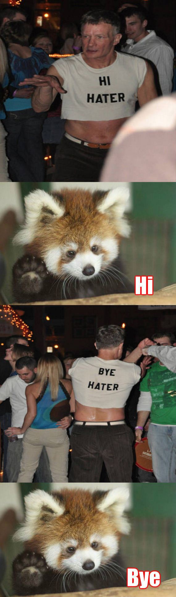 funny-pictures-1075