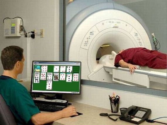 funny-pictures-1075