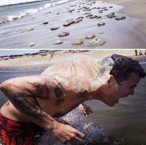 funny-pictures-1076