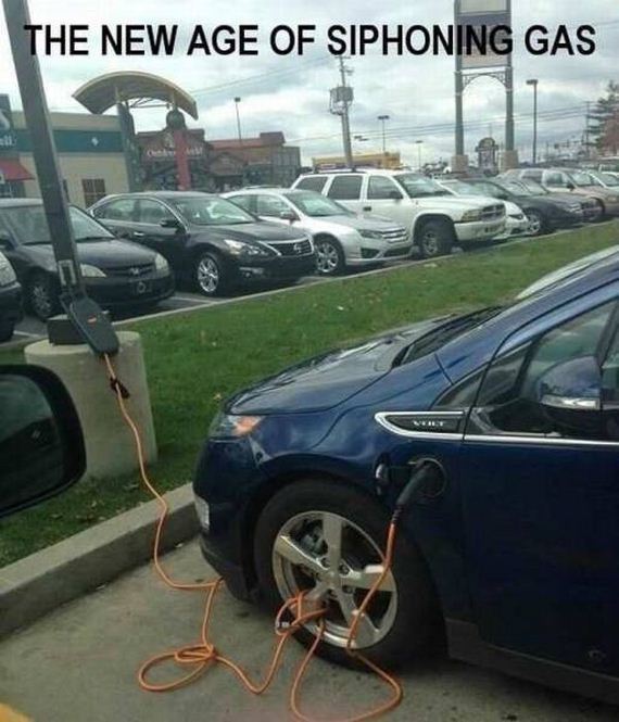 funny-pictures-1076