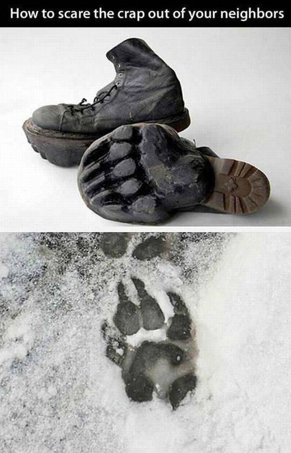 funny-pictures-1076