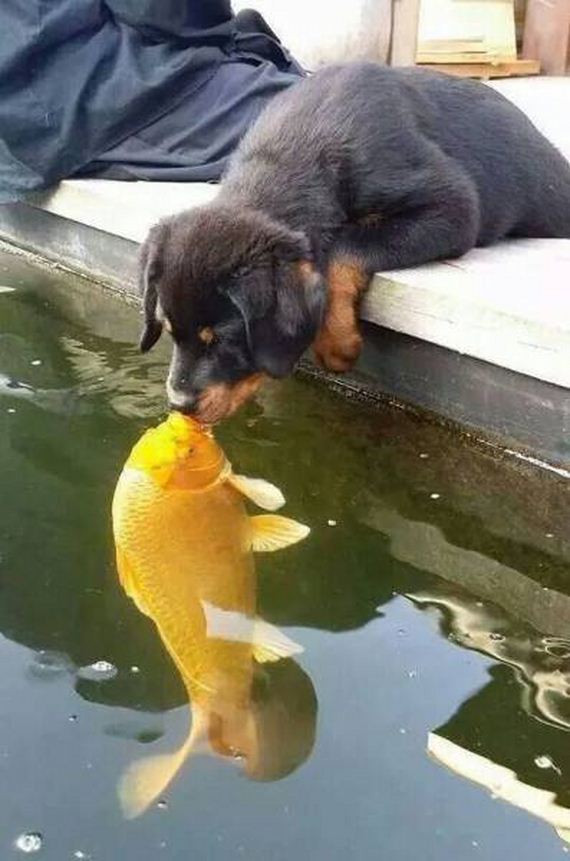 funny-pictures-1076