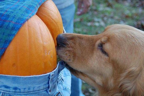 funny-pictures-1077