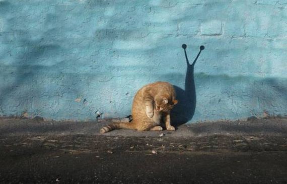 funny-pictures-1077