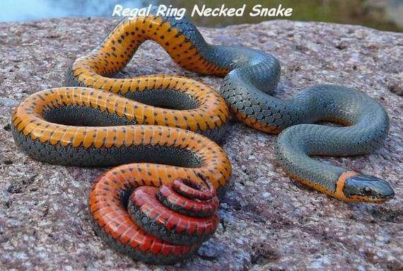 funny-pictures-1077