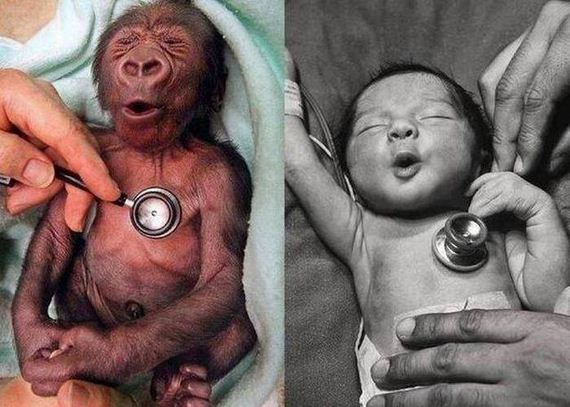 funny-pictures-1077