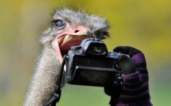 funny-pictures-1077