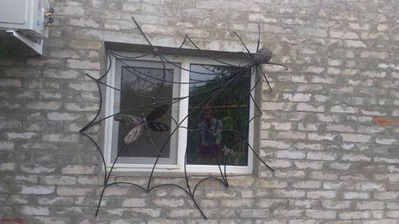 funny-pictures-1077