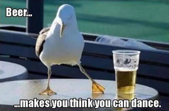 funny-pictures-1077
