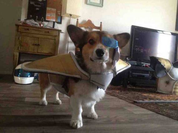 funny-pictures-1077
