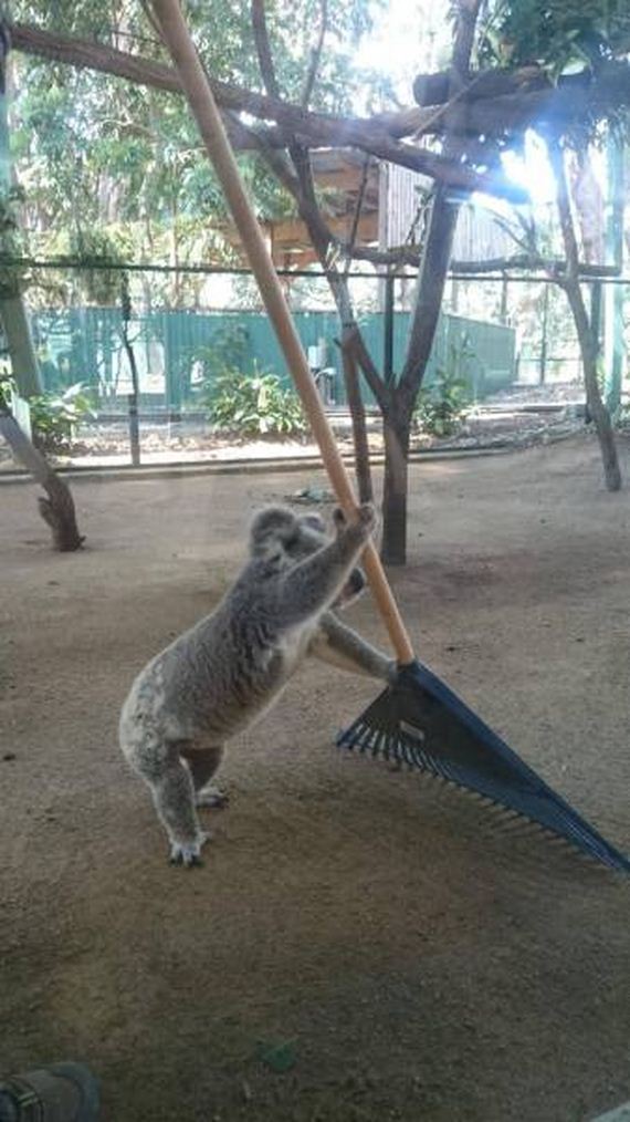 funny-pictures-1077