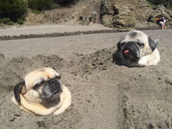 funny-pictures-1078