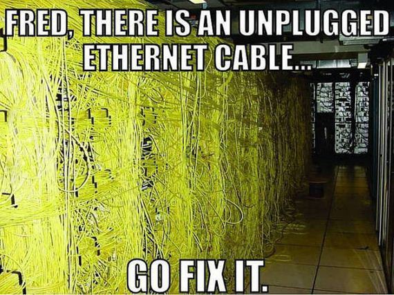 funny-pictures-1078
