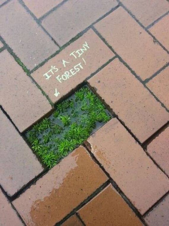 funny-pictures-1078