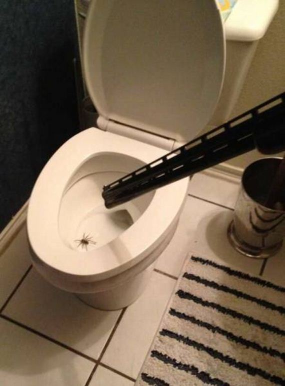 funny-pictures-1079
