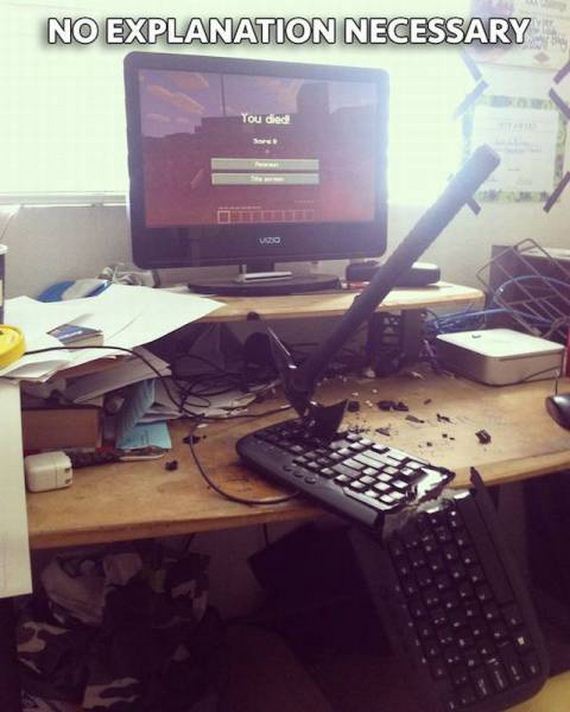 funny-pictures-1079