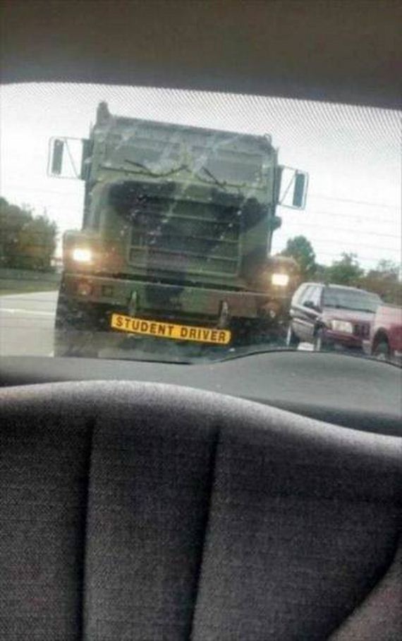 funny-pictures-1079
