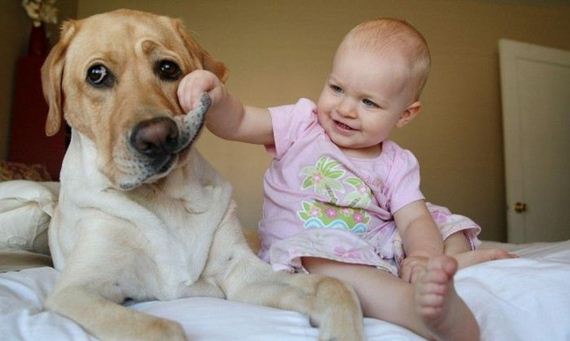 funny-pictures-1080