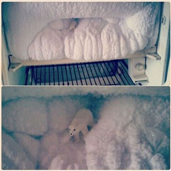 funny-pictures-1080
