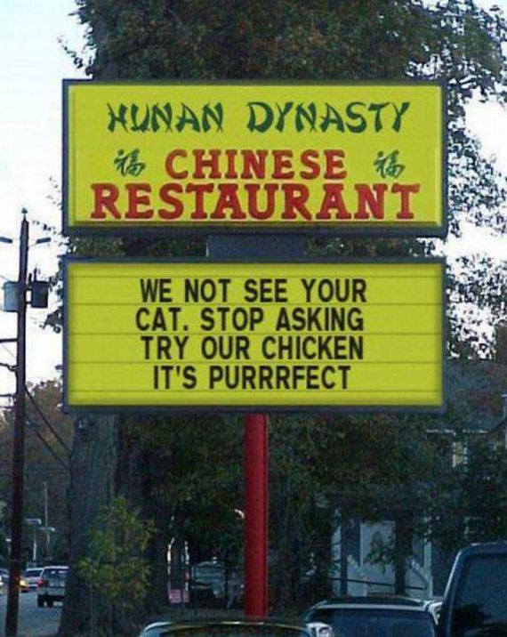 funny-pictures-1080