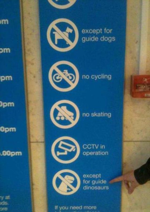 funny-pictures-1080