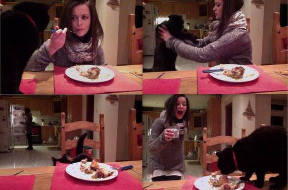 funny-pictures-1081
