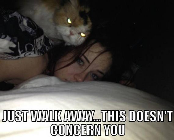 funny-pictures-1081