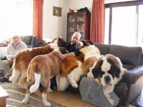 funny-pictures-1081