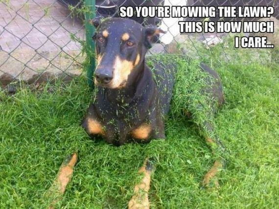 funny-pictures-1082
