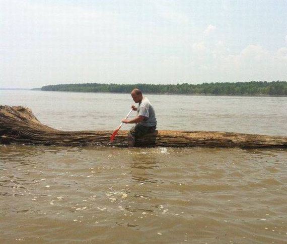 funny-pictures-1082