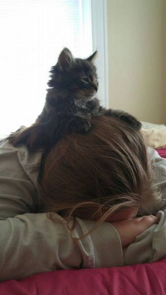 funny-pictures-1082