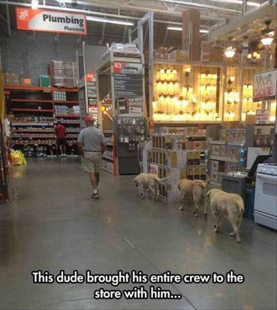 funny-pictures-1082