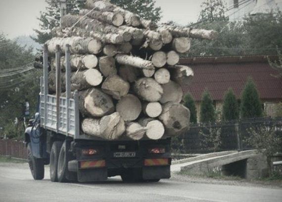 funny-pictures-1082