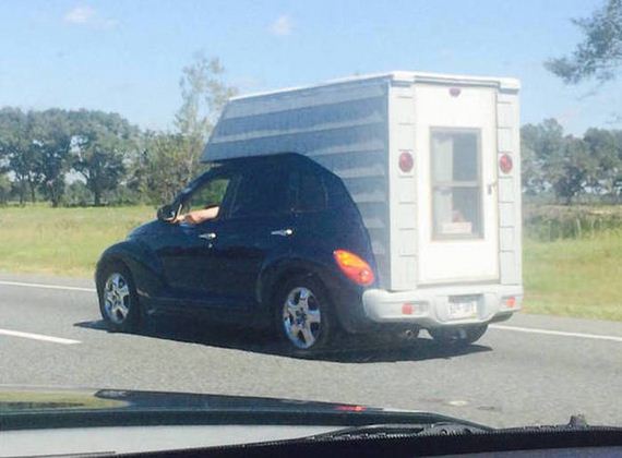 funny-pictures-1083