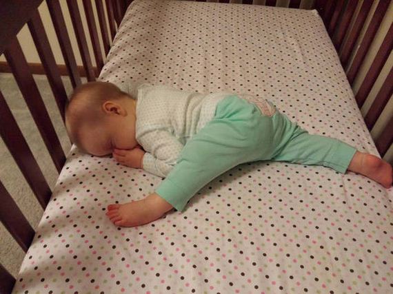 funny-pictures-1083