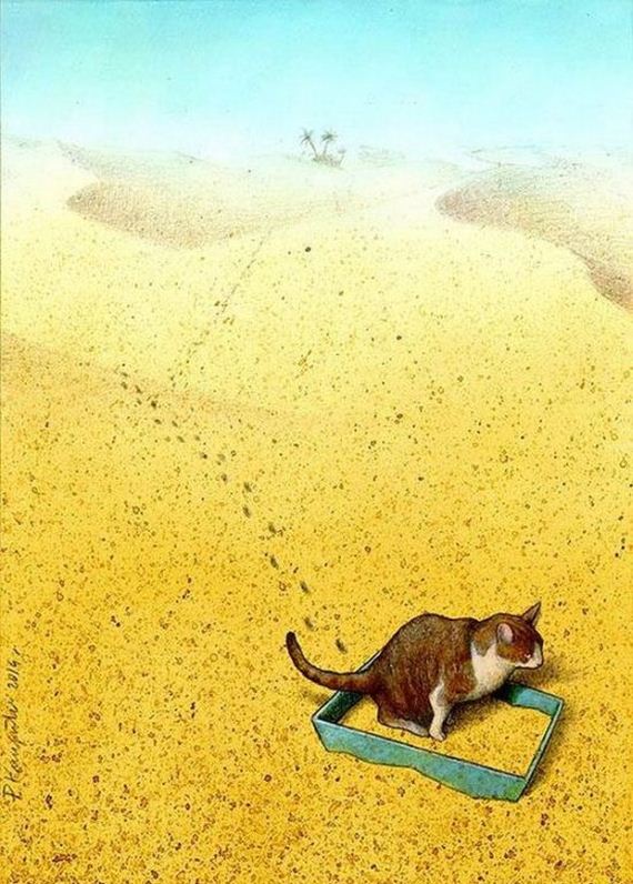 funny-pictures-1083