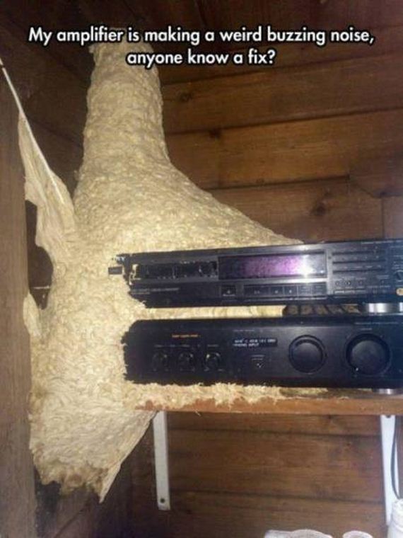 funny-pictures-1083