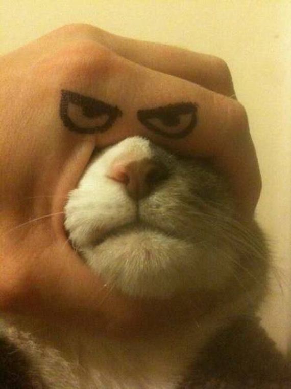 funny-pictures-1083