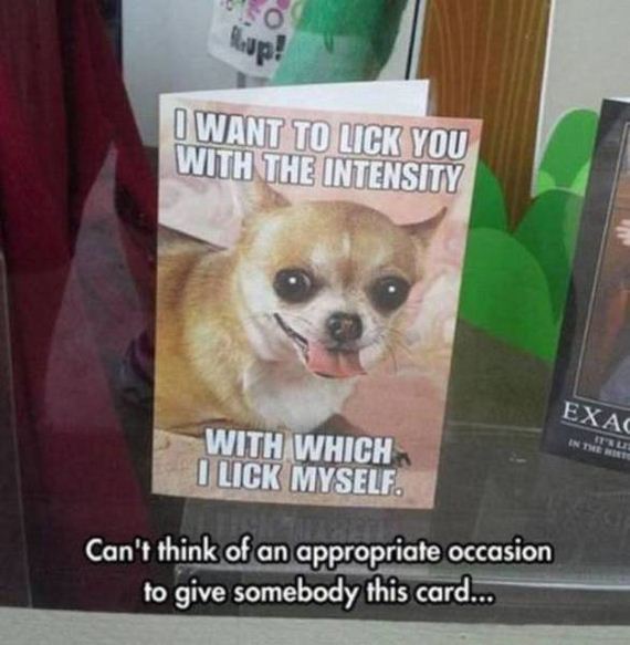 funny-pictures-1083