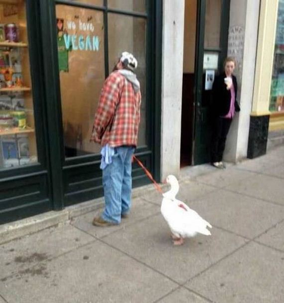 funny-pictures-1083