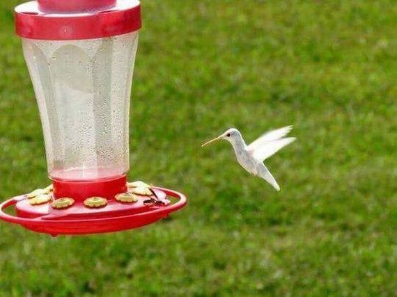 funny-pictures-1084