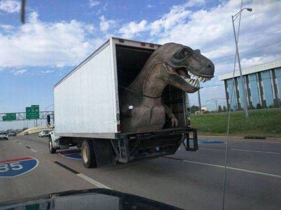 funny-pictures-1084