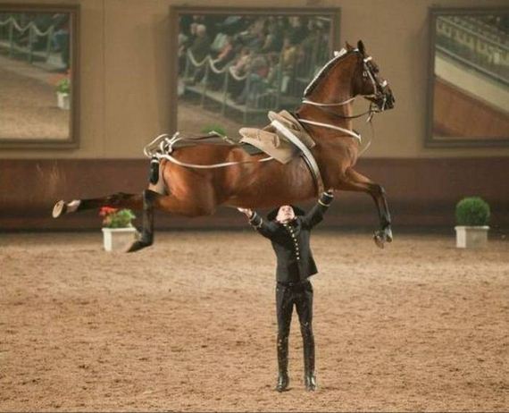 funny-pictures-1084