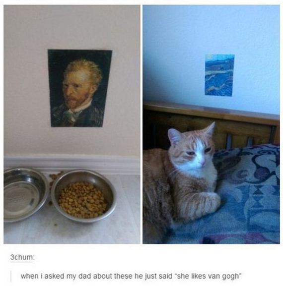 funny-pictures-1084