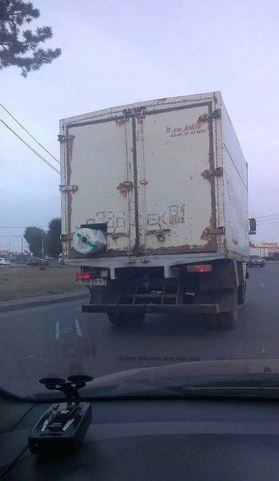 funny-pictures-1084