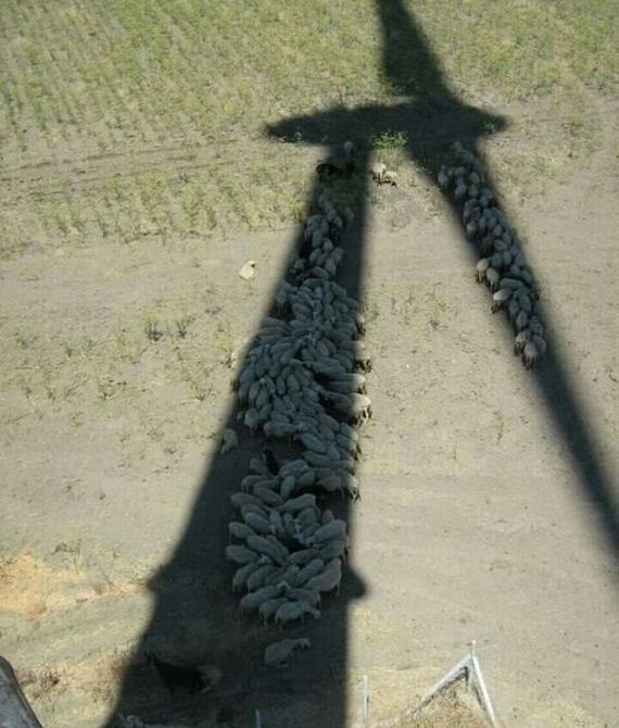 funny-pictures-1084