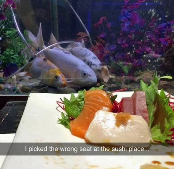 funny-pictures-1084