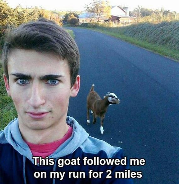 funny-pictures-1084