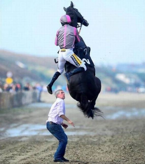funny-pictures-1084