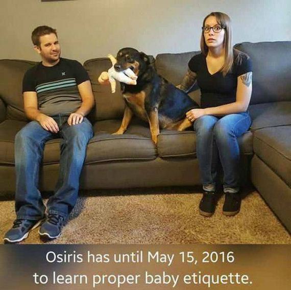 funny-pictures-1084